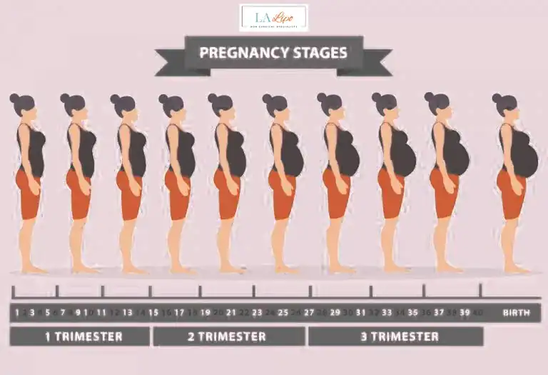 First Trimester (Weeks 1–12): Early Changes You Might Not Notice Surbiton